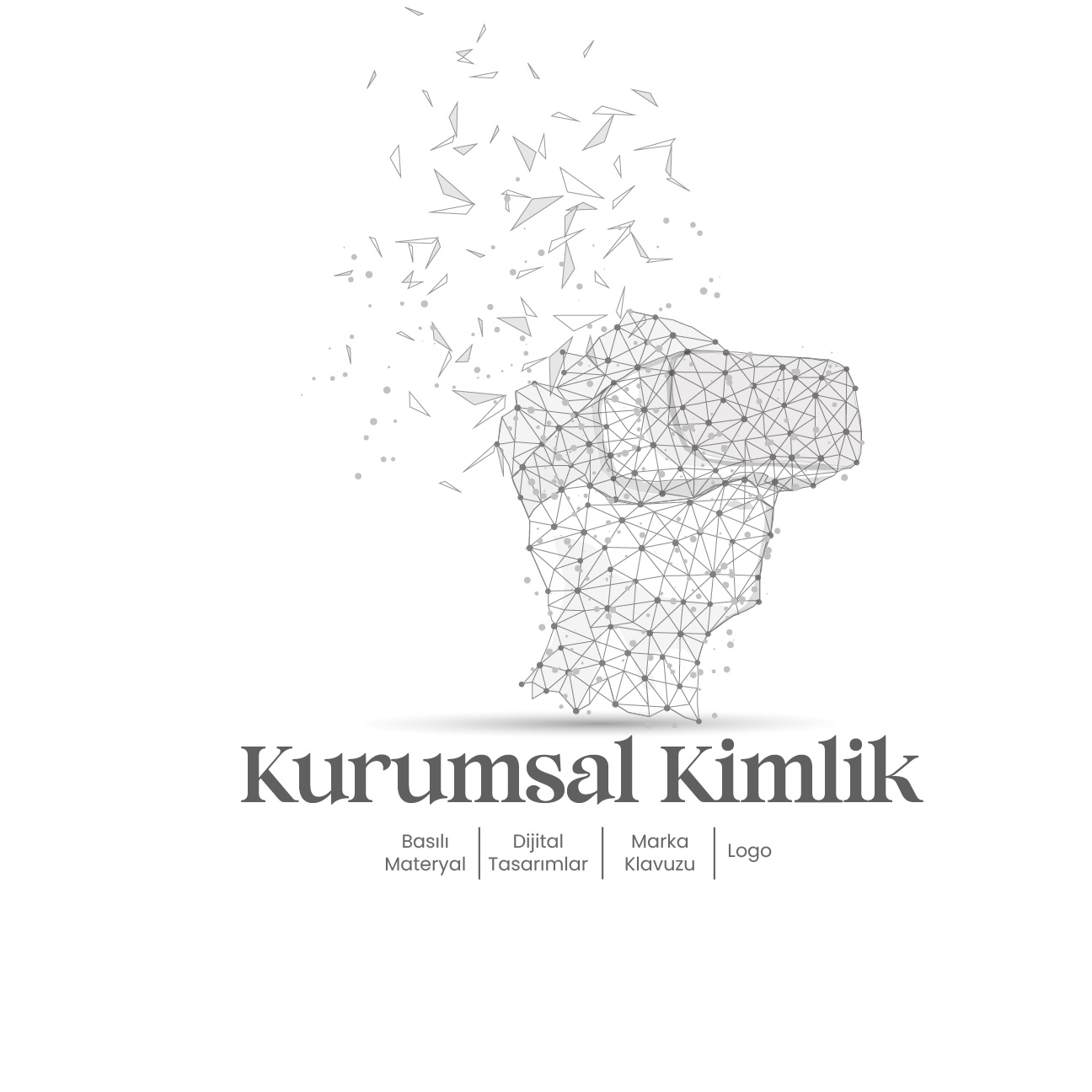 Kurumsal Kimlik ve Tasarım Hizmetleri