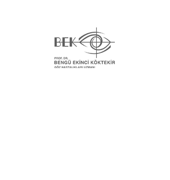 Prof. Dr. Bengü Ekinci Köktekir