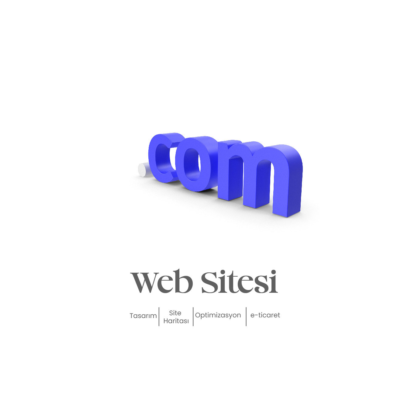 Web Site Tasarımı